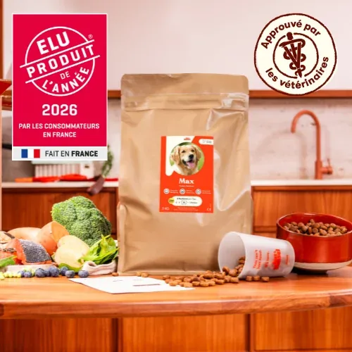 Emballage Just Russel JUST RUSSEL : UNE ALIMENTATION ADAPTÉE AUX BESOINS DE VOTRE CHIEN