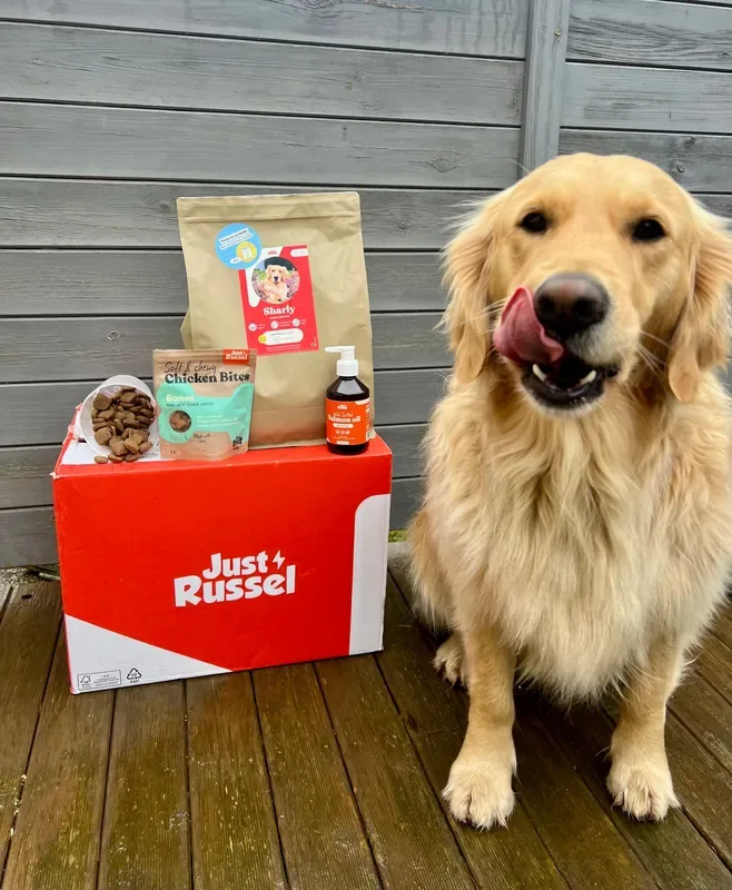 Golden retriever à côté de la boîte et de l'emballage Just Russel